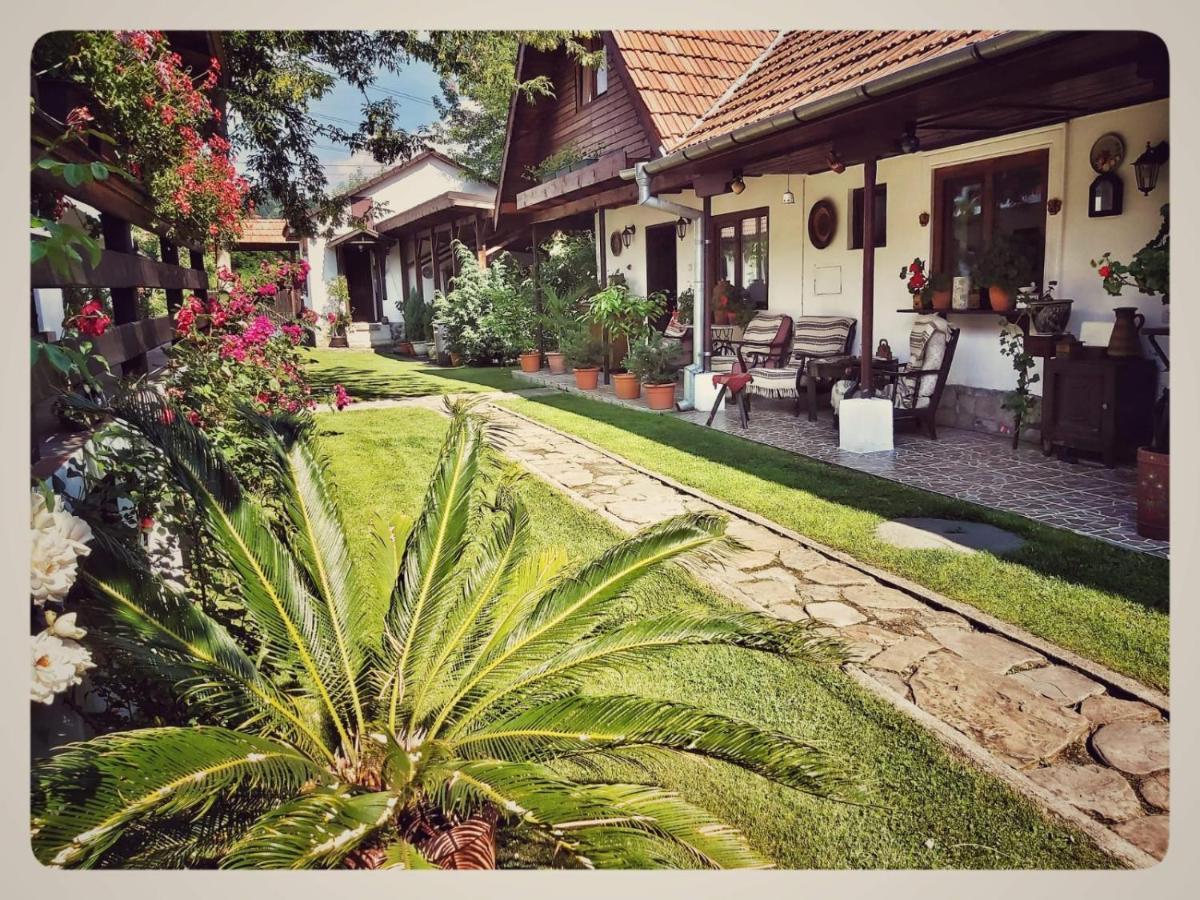 Hotel Casa Veche Măldăreşti Zewnętrze zdjęcie
